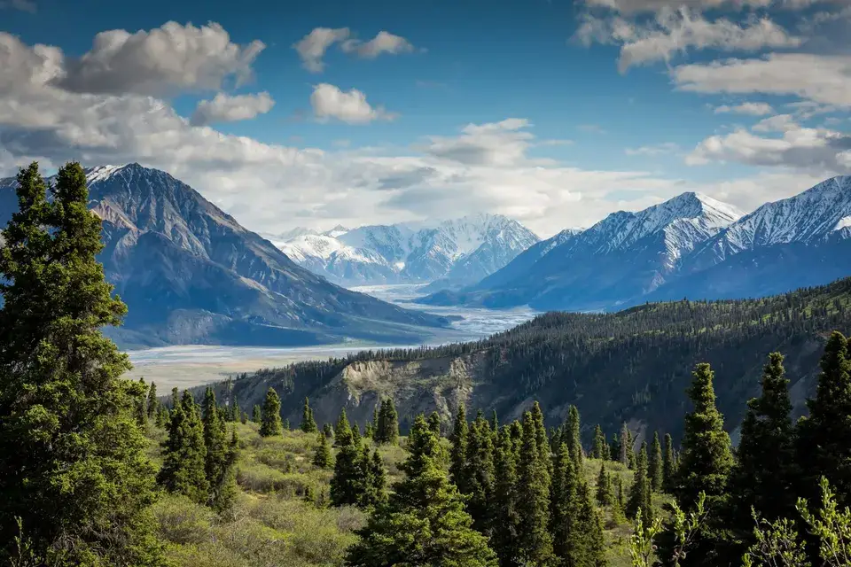 A mountain valley with evergreen forests